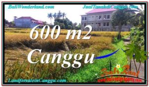 Affordable PROPERTY LAND FOR SALE IN Canggu Pererenan BALI TJCG211