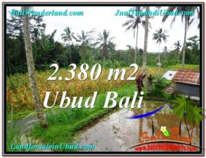 Magnificent LAND FOR SALE IN UBUD TJUB567