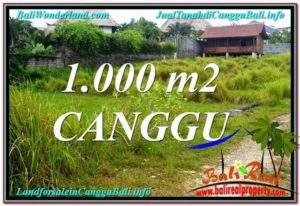 Exotic PROPERTY LAND IN Canggu Pererenan BALI FOR SALE TJCG214