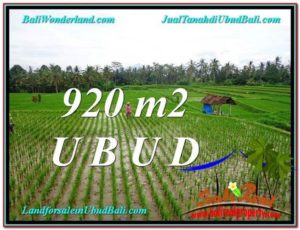 FOR SALE Affordable LAND IN Ubud Payangan BALI TJUB575