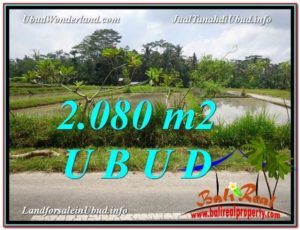 LAND IN Ubud Pejeng BALI FOR SALE TJUB582