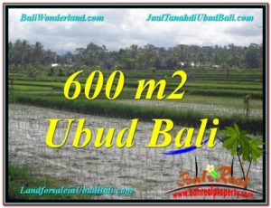 Affordable 600 m2 LAND IN UBUD BALI FOR SALE TJUB607