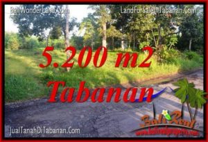Beautiful PROPERTY 5,200 m2 LAND FOR SALE IN TABANAN BALI TJTB334