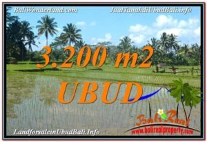 Beautiful UBUD BALI 3,200 m2 LAND FOR SALE TJUB628