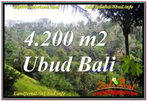 4,200 m2 LAND IN UBUD BALI FOR SALE TJUB639