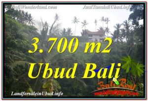 3,700 m2 LAND SALE IN UBUD TJUB640