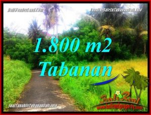 Magnificent PROPERTY TABANAN 1,850 m2 LAND FOR SALE TJTB357