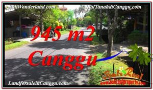 FOR SALE Beautiful LAND IN Canggu Pererenan TJCG210