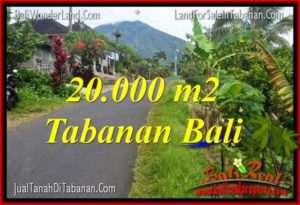 Beautiful 20,000 m2 LAND SALE IN Tabanan Penebel TJTB315