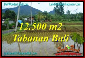 Beautiful Tabanan Penebel LAND FOR SALE TJTB317