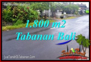 FOR SALE Exotic LAND IN Tabanan Kota BALI TJTB321