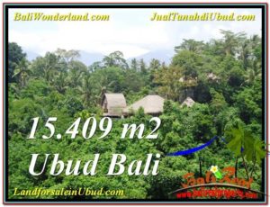 Exotic Sentral Ubud BALI LAND FOR SALE TJUB568