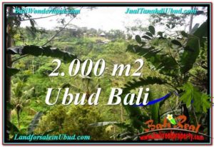 Exotic PROPERTY LAND SALE IN UBUD TJUB573