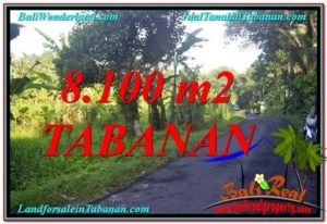 Beautiful PROPERTY 8,100 m2 LAND FOR SALE IN TABANAN BALI TJTB329