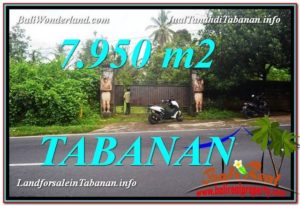 Affordable LAND SALE IN Tabanan Bedugul BALI TJTB331