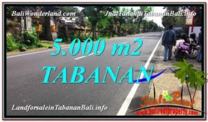 Exotic 5,000 m2 LAND SALE IN Badung BALI TJTB332