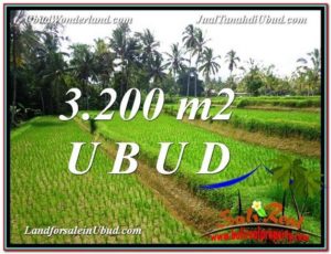 Magnificent 3,200 m2 LAND IN UBUD BALI FOR SALE TJUB594