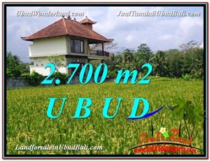 Beautiful 2,700 m2 LAND FOR SALE IN Ubud Tegalalang TJUB595