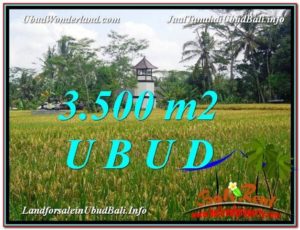 Beautiful UBUD BALI 3,500 m2 LAND FOR SALE TJUB596