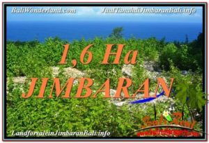 FOR SALE Exotic PROPERTY 16,000 m2 LAND IN Jimbaran Uluwatu TJJI112