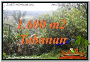 Affordable 1,600 m2 LAND SALE IN TABANAN BALI TJTB348