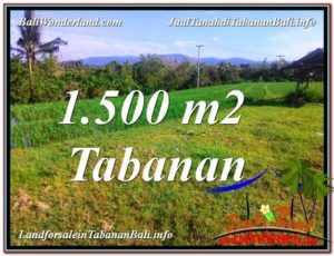 Affordable 1,500 m2 LAND SALE IN TABANAN BALI TJTB353