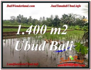 Affordable PROPERTY 1,400 m2 LAND FOR SALE IN Ubud Payangan TJUB615