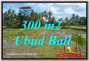 Magnificent PROPERTY Ubud Pejeng 300 m2 LAND FOR SALE TJUB619