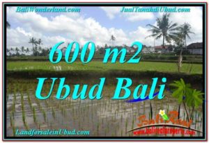Beautiful PROPERTY 600 m2 LAND SALE IN Ubud Pejeng TJUB621