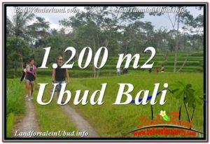 LAND FOR SALE IN Ubud Tegalalang BALI TJUB624