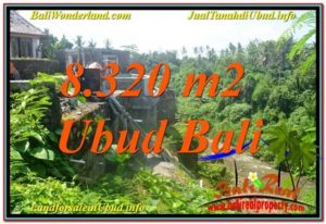 FOR SALE Magnificent PROPERTY LAND IN UBUD TJUB635