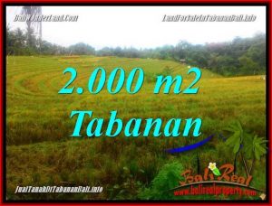 Exotic PROPERTY TABANAN LAND FOR SALE TJTB356