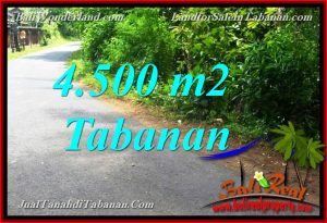 Exotic PROPERTY LAND FOR SALE IN TABANAN BALI TJTB380
