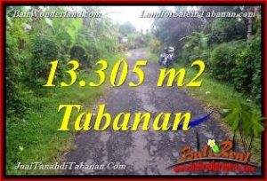 Affordable PROPERTY LAND IN Tabanan Selemadeg BALI FOR SALE TJTB367