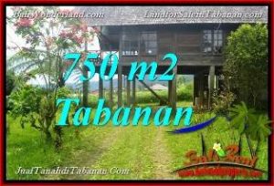 FOR SALE Exotic PROPERTY 750 m2 LAND IN Tabanan Bedugul BALI TJTB370