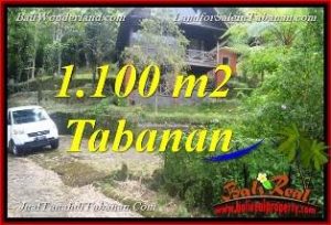 FOR SALE Exotic PROPERTY 1,100 m2 LAND IN Tabanan Bedugul BALI TJTB371