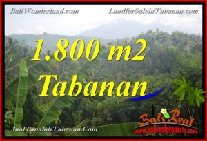FOR SALE 1,800 m2 LAND IN Tabanan Selemadeg BALI TJTB379