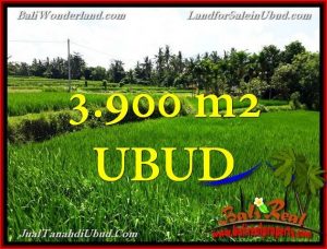 FOR SALE LAND IN Ubud Pejeng TJUB658