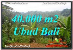 Magnificent UBUD BALI LAND FOR SALE TJUB679