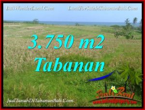 Exotic TABANAN SELEMADEG BALI 3,750 m2 LAND FOR SALE TJTB382