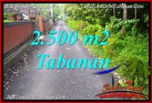 Beautiful 2,500 m2 LAND FOR SALE IN TABANAN TJTB391