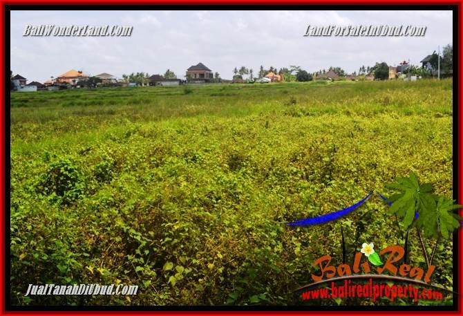 Magnificent Property Land for sale in Ubud Bali TJUB687