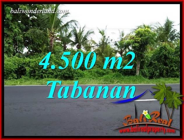 Exotic Property 4,500 m2 Land sale in Tabanan Selemadeg TJTB395