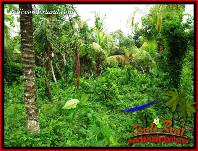 Exotic Property 4,500 m2 Land sale in Tabanan Selemadeg TJTB395