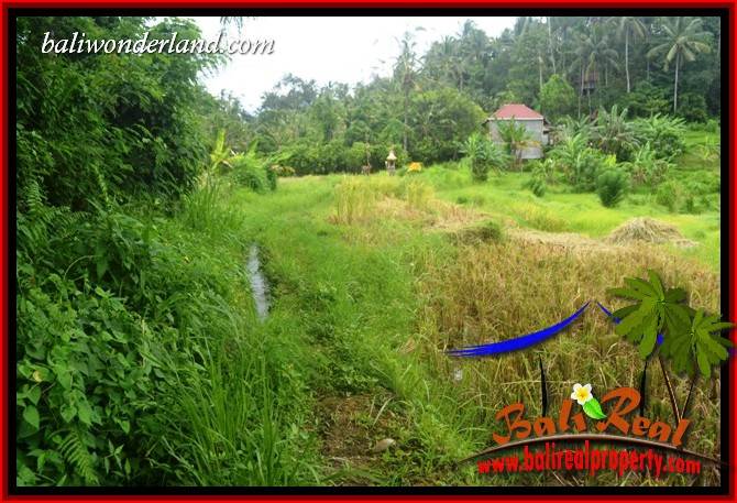 Magnificent Property Land for sale in Tabanan Bali TJTB396