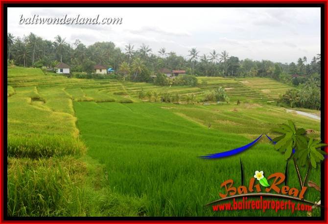 Magnificent Property Land for sale in Tabanan Bali TJTB396