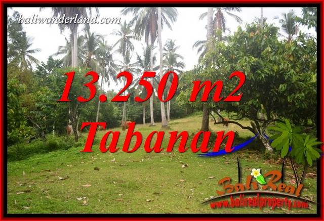 Affordable 13,250 m2 Land for sale in Tabanan Bali TJTB403