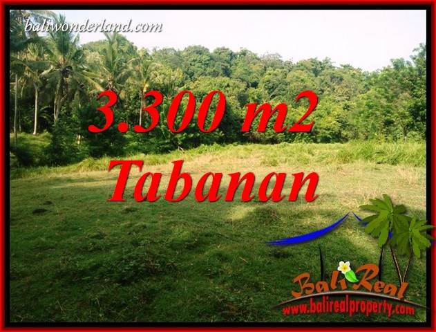 Affordable Tabanan Bali 3,300 m2 Land for sale TJTB413