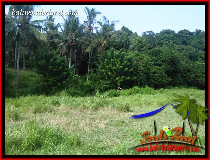 Affordable Tabanan Bali 3,300 m2 Land for sale TJTB413