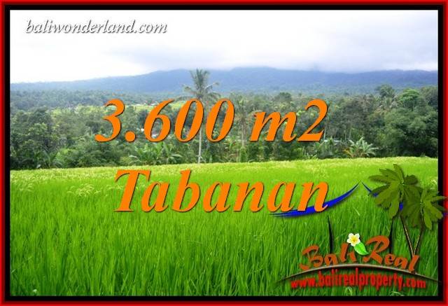 Exotic Property Land sale in Tabanan TJTB415